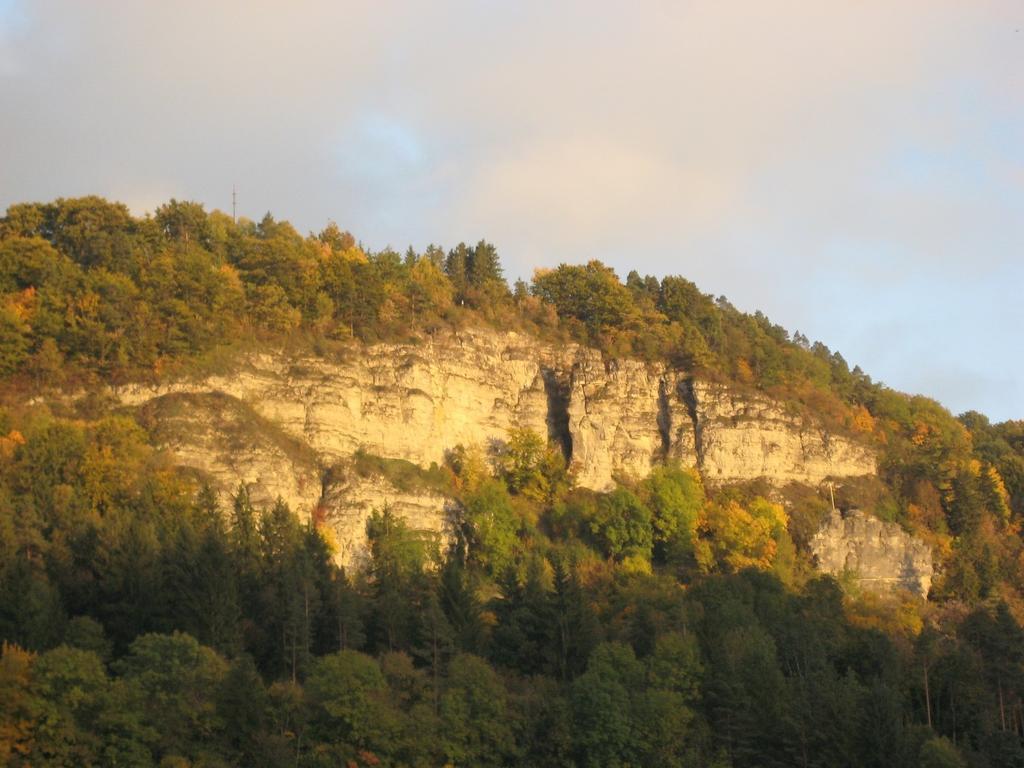 Gaestehaus Krone Oberndorf am Neckar Cameră foto