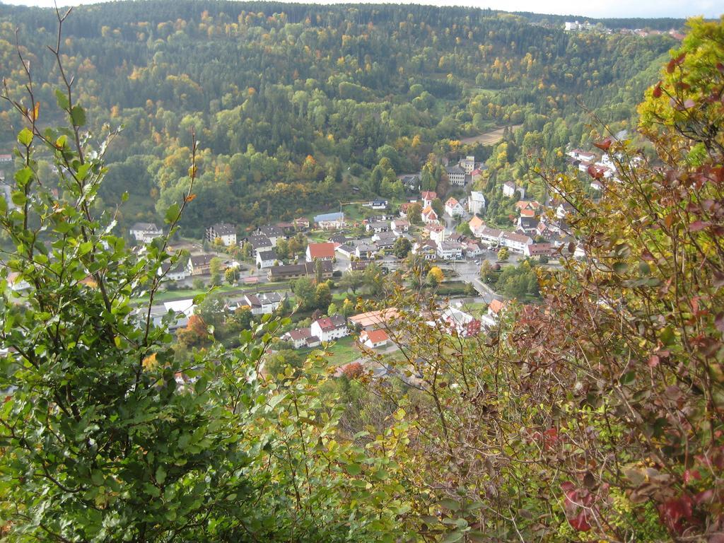 Gaestehaus Krone Oberndorf am Neckar Cameră foto